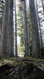 dsc00065_thumb.jpg