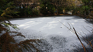 dsc00067_thumb.jpg