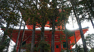 dsc00069_thumb.jpg