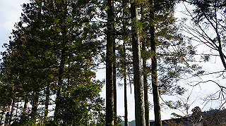 dsc00073_thumb.jpg