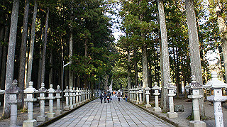 dsc00081_thumb.jpg