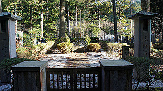 dsc00086_thumb.jpg