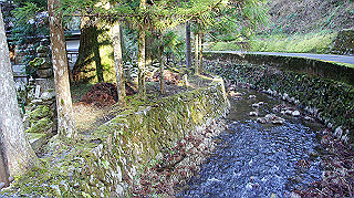 dsc00090_thumb.jpg