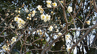 dsc00006_thumb.jpg