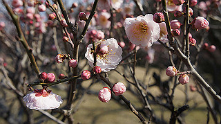 dsc00012_thumb.jpg