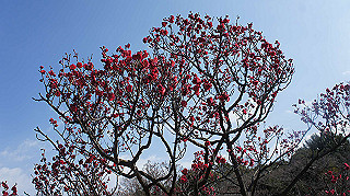 dsc00013_thumb.jpg