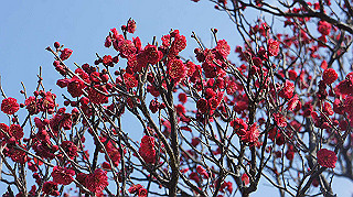 dsc00014_thumb.jpg