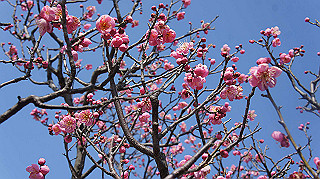 dsc00018_thumb.jpg