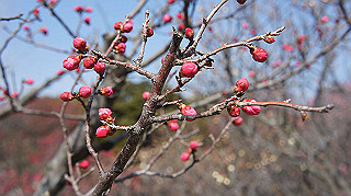 dsc00022_thumb.jpg