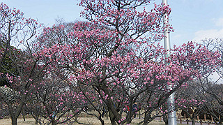dsc00027_thumb.jpg