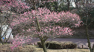 dsc00029_thumb.jpg