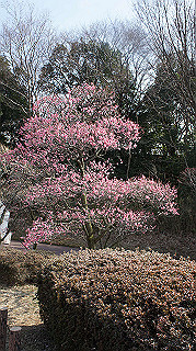 dsc00030_thumb.jpg