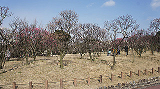 dsc00031_thumb.jpg