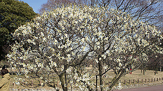 dsc00032_thumb.jpg