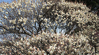 dsc00041_thumb.jpg