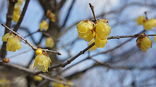 dsc00044_thumb.jpg