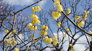 dsc00046_thumb.jpg