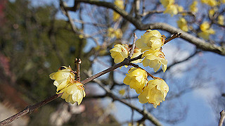 dsc00047_thumb.jpg
