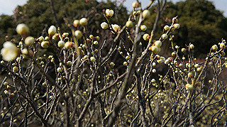 dsc00053_thumb.jpg