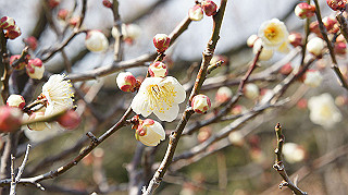 dsc00056_thumb.jpg