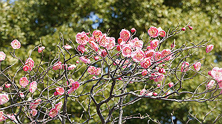 dsc00059_thumb.jpg