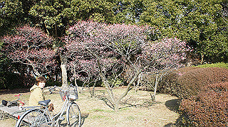 dsc00063_thumb.jpg