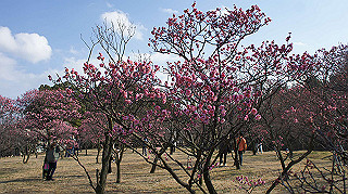 dsc00071_thumb.jpg