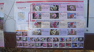 dsc00076_thumb.jpg