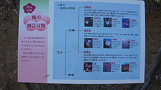 dsc00078_thumb.jpg