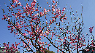 dsc00080_thumb.jpg