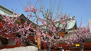 dsc00084_thumb.jpg