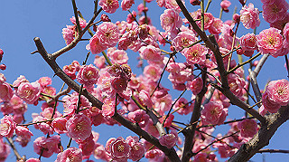 dsc00086_thumb.jpg