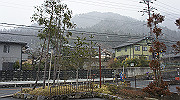 dsc00009_thumb.jpg