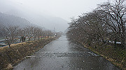 dsc00010_thumb.jpg