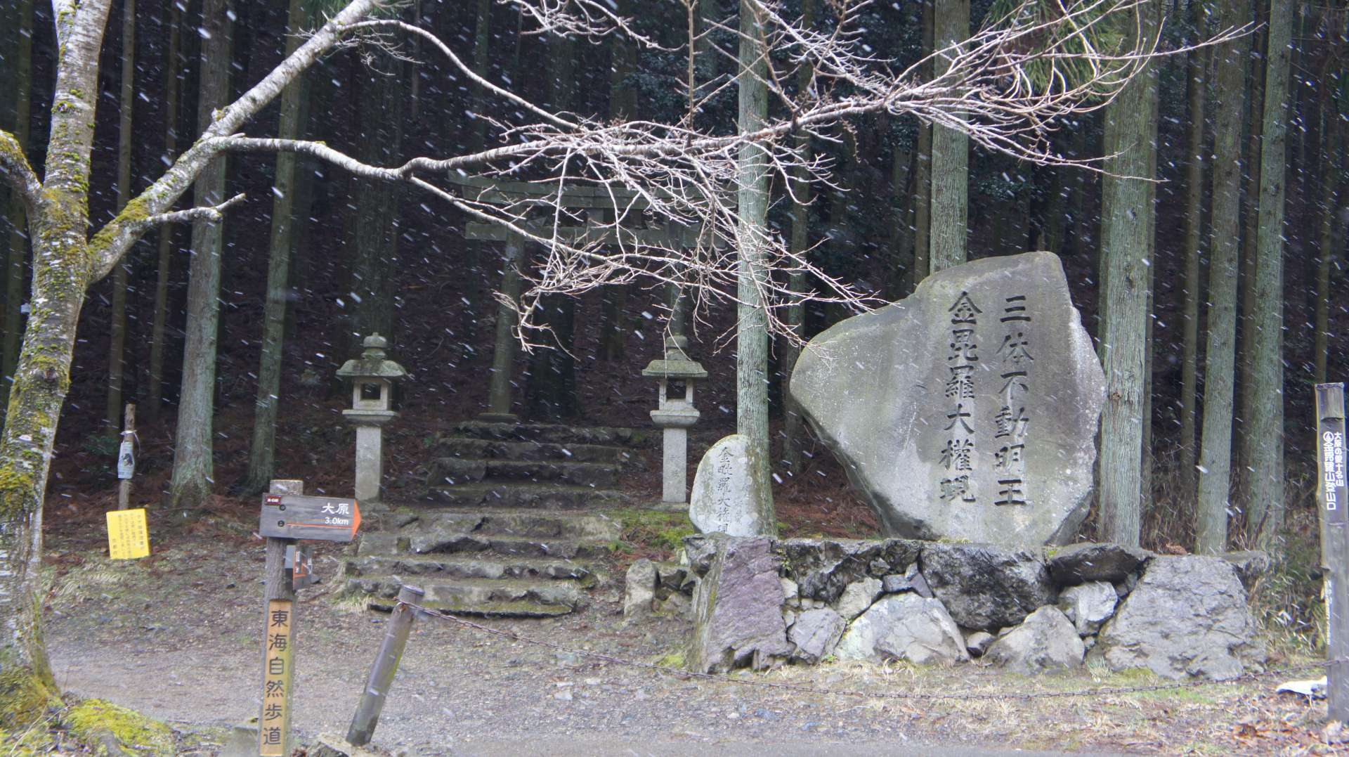 dsc00018.jpg