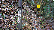 dsc00019_thumb.jpg