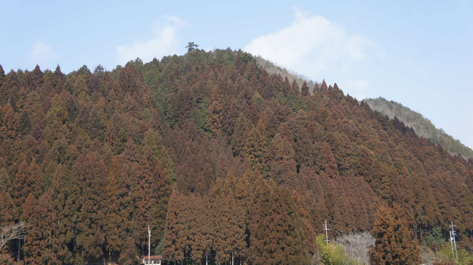 dsc00020.jpg