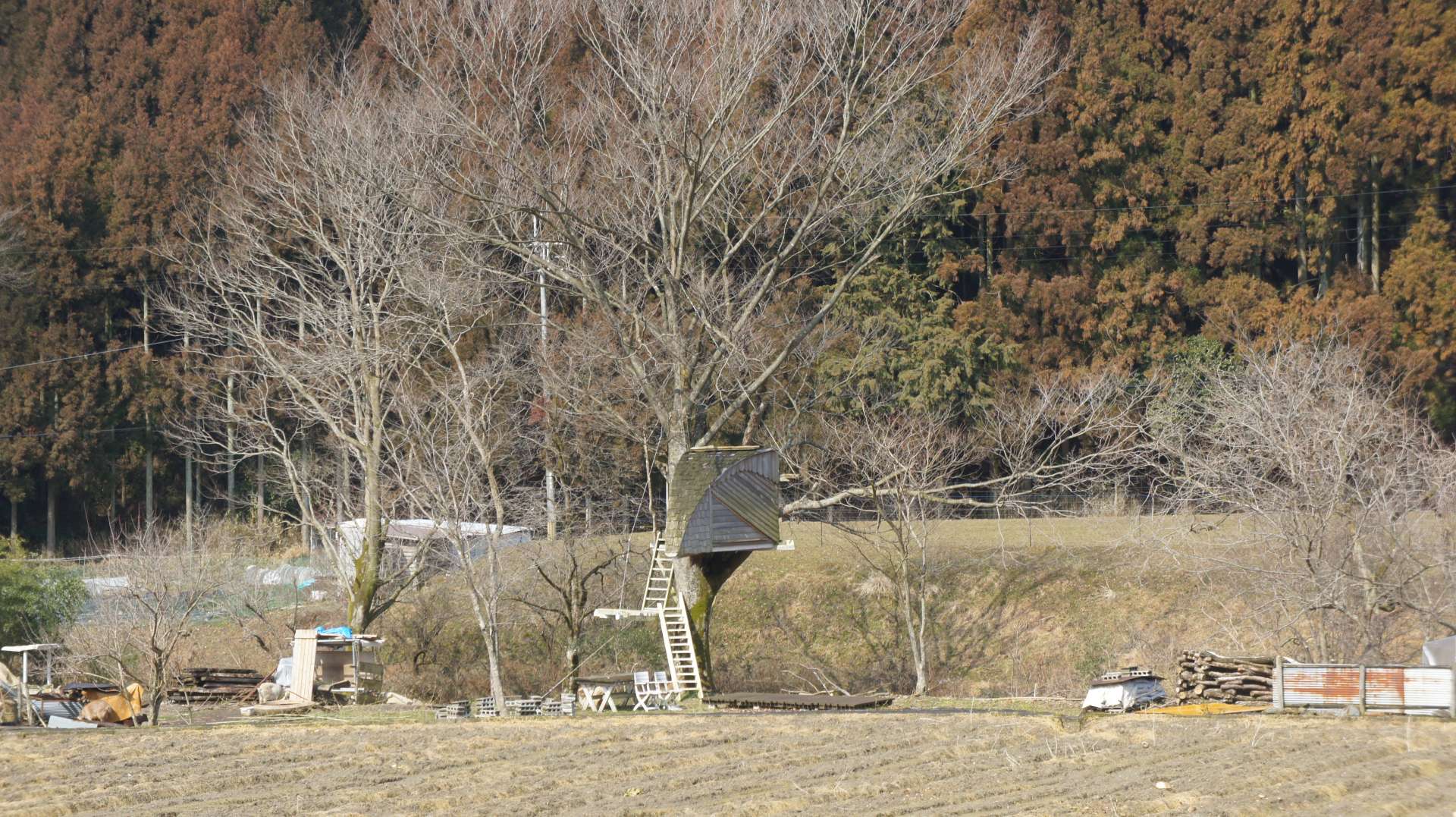 dsc00021.jpg