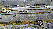 dsc00026_thumb.jpg