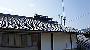 dsc00029_thumb.jpg