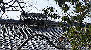 dsc00035_thumb.jpg