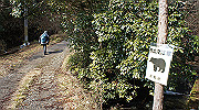 dsc00043_thumb.jpg