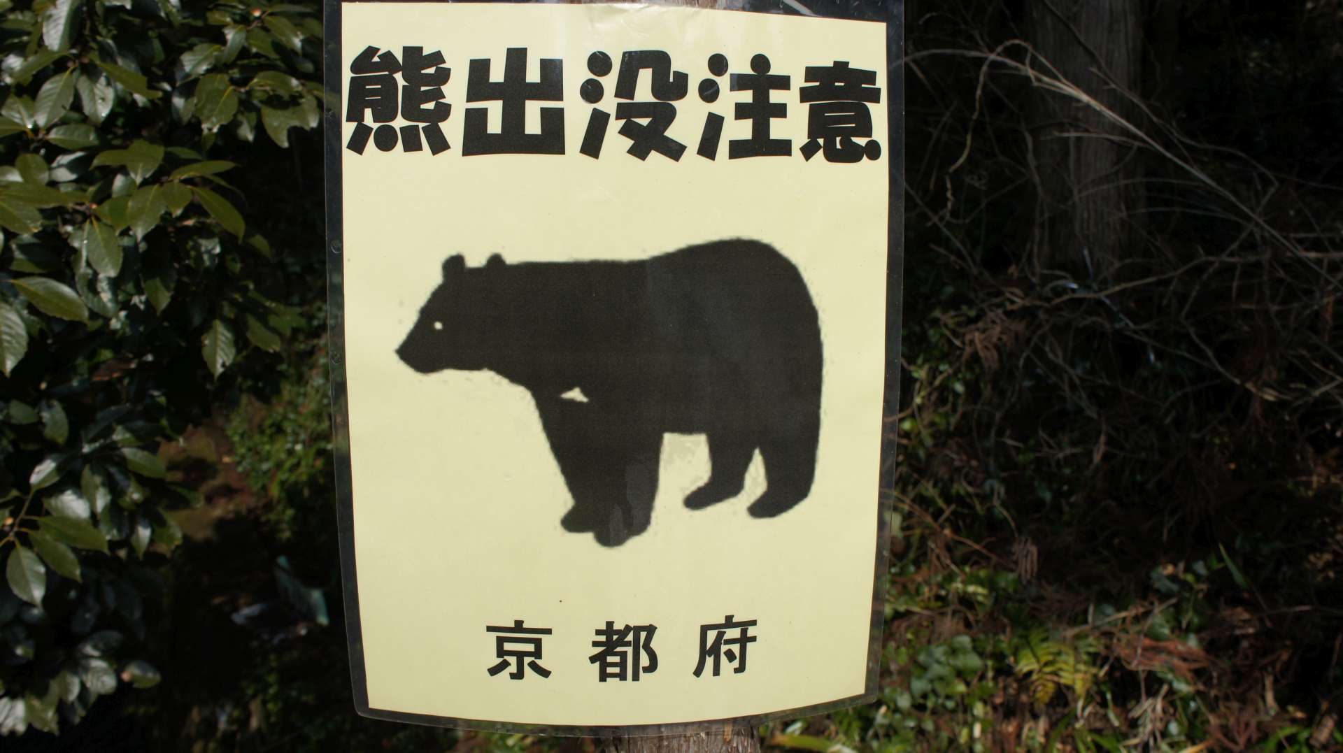 dsc00044.jpg