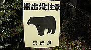 dsc00044_thumb.jpg