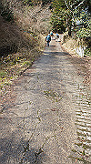 dsc00045_thumb.jpg