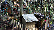 dsc00048_thumb.jpg
