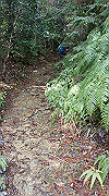 dsc00051_thumb.jpg