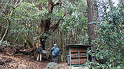 dsc00052_thumb.jpg