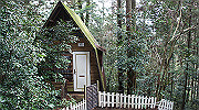 dsc00053_thumb.jpg