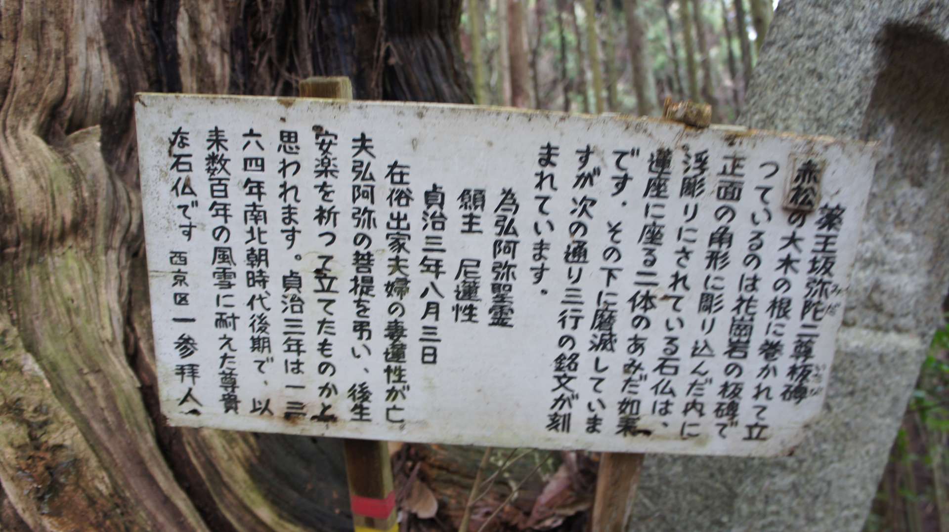 dsc00055.jpg